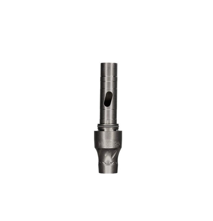 STEM: VONG (I) - Image 2